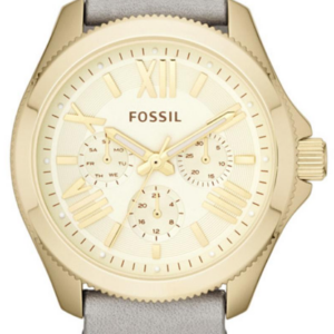 Fossil AM4529
