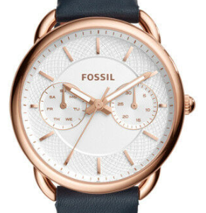 Fossil ES4260