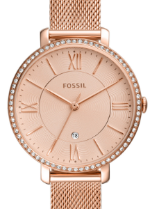 Fossil ES4628